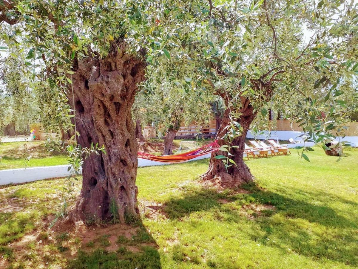 Villa Vista Al Mar Skála Kallirákhis Exteriér fotografie
